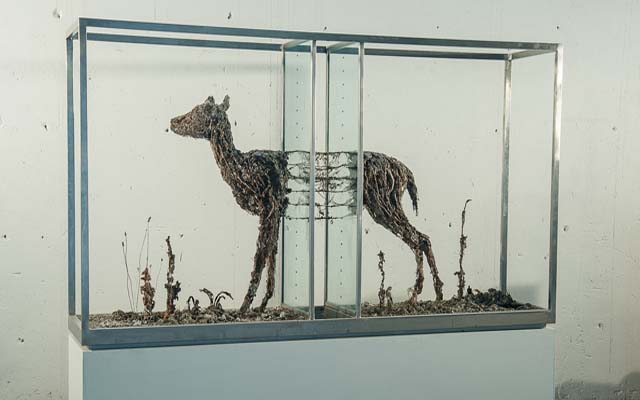 Enzo Fiore Animal Section Sculture